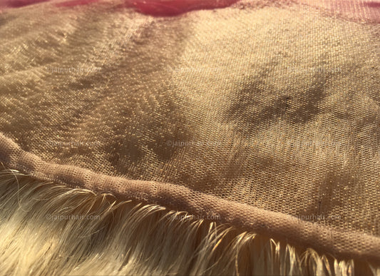 Blazin' Blonde #613 Wavy Indian Lace Frontal - Raw Indian Hair, Virgin Hair Extensions, Jaipur Hair